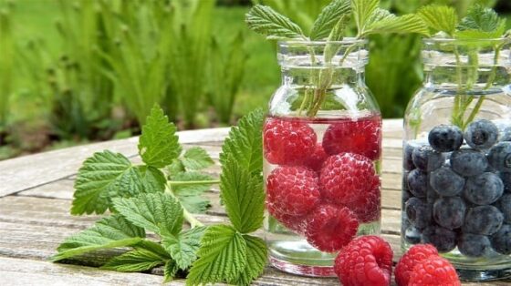 eau-aromatisée-framboise-menthe
