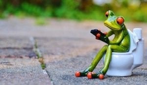 toilettes-ecologiques-economies