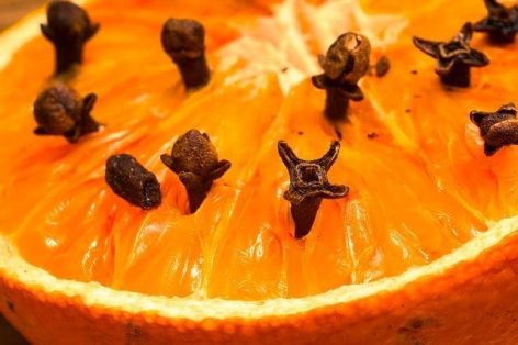 orange-clous-girofle