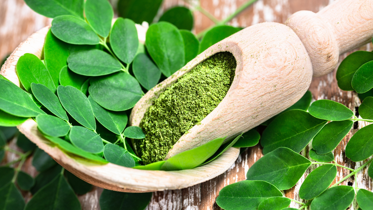 bienfaits du moringa