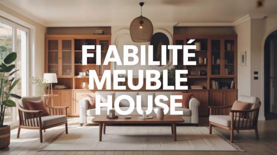 scene salon contemporain avis sur meuble house